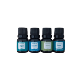 Kit Conforto, com 4 essências (Algas, Amacitel, Bambu e Casa) - 10ml - Hidrossolúveis