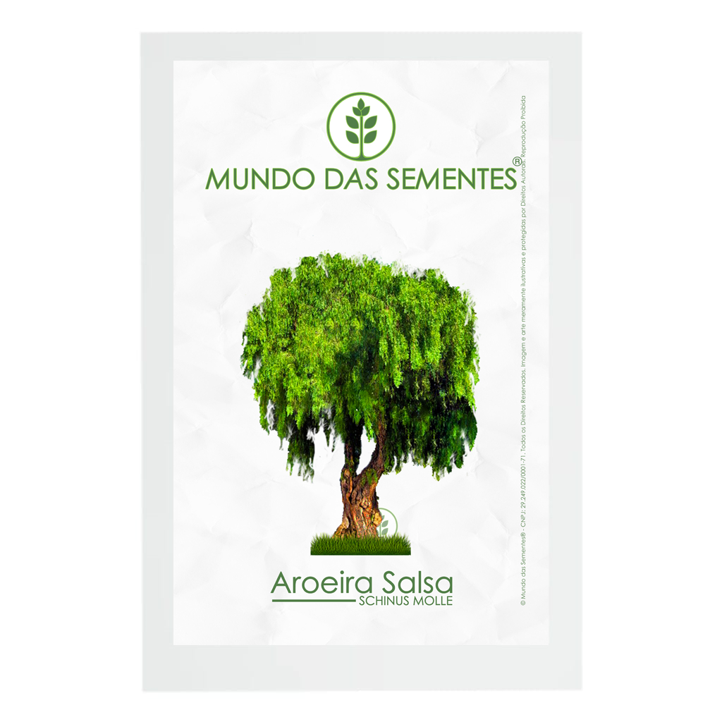 100 Sementes de Aroeira Salsa Chorão Schinus Molle Original | Mundo das Sementes®