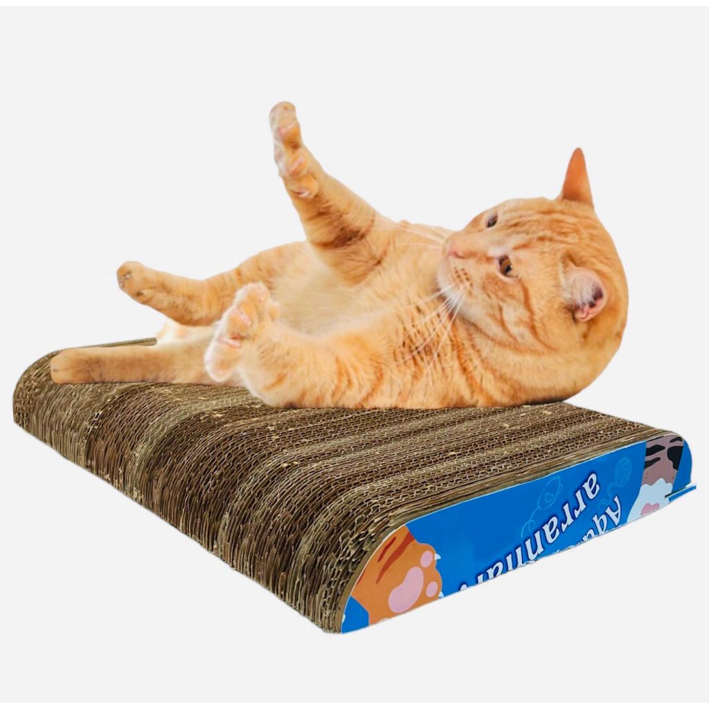 Arranhador para Gato de papelão, Terapêutico - PROMOÇÃO! 1 CAMADA em Oferta na Shopee