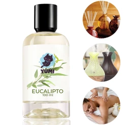 Essência Concentrada 100ml Eucalipto Para Aromatizador Difusor Umidificador Elétrico Hidrossolúvel A Melhor