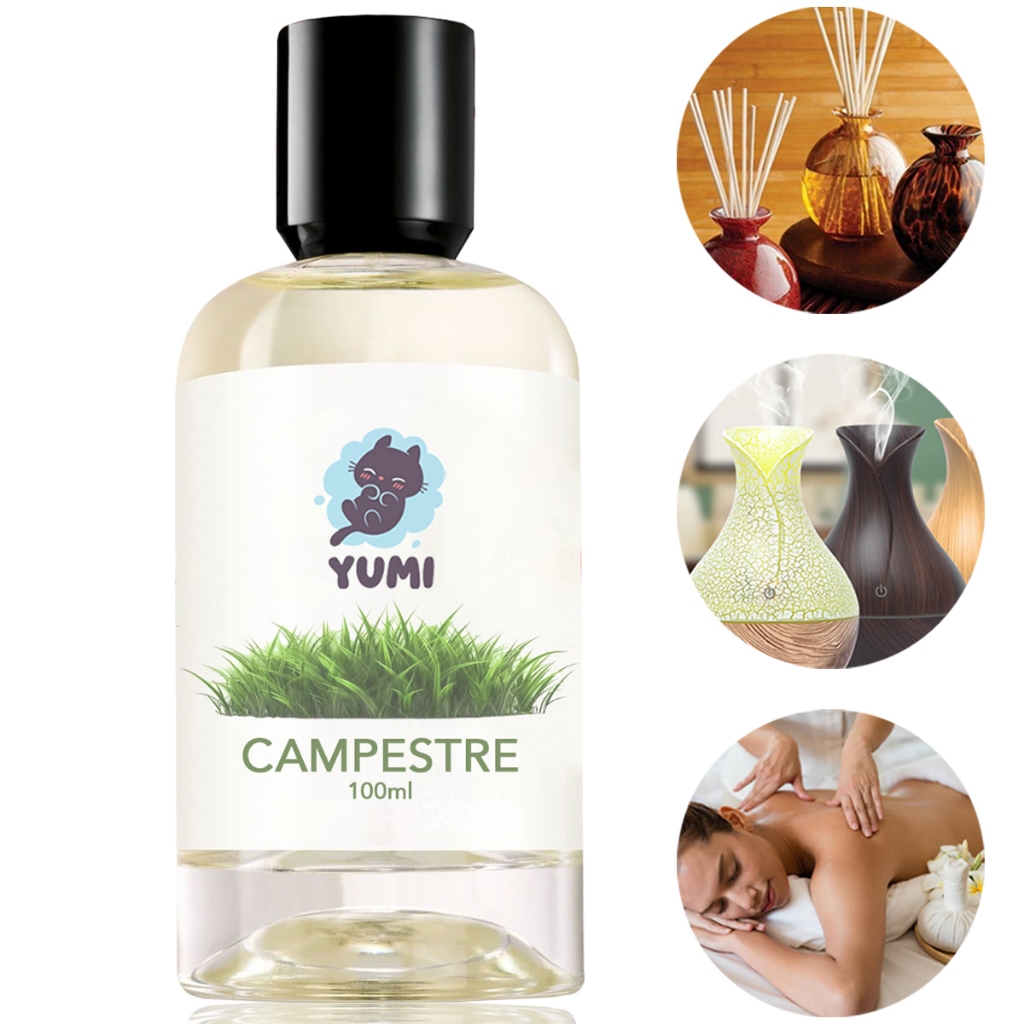 Essência Concentrada 100ml CAMPESTRE Para Aromatizador Difusor Umidificador Elétrico Hidrossolúvel A Melhor em Oferta na Shopee