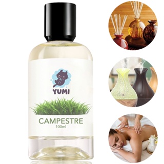 Essência Concentrada 100ml CAMPESTRE Para Aromatizador Difusor Umidificador Elétrico Hidrossolúvel A Melhor em Oferta na Shopee