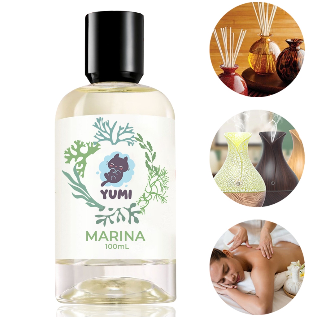 Essência Concentrada 100ml Marina Para Aromatizador Difusor Umidificador Elétrico Hidrossolúvel A Melhor em Oferta na Shopee