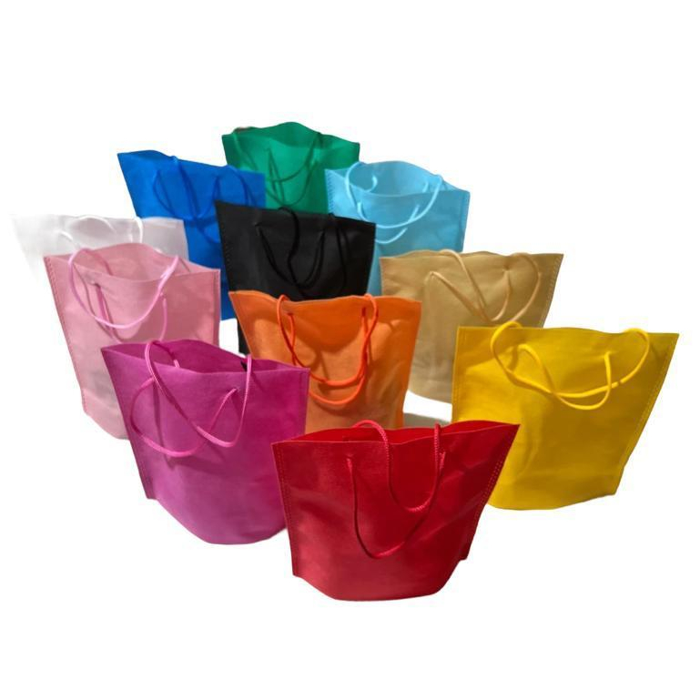 10 UNIDADES SACOLA TNT com Alça Cordão  FICA EM PÉ EM CIMA DA MESA - CORES - com 10 Unidades 18x20-22x26-ou33x37 ARPEPEL em Oferta na Shopee