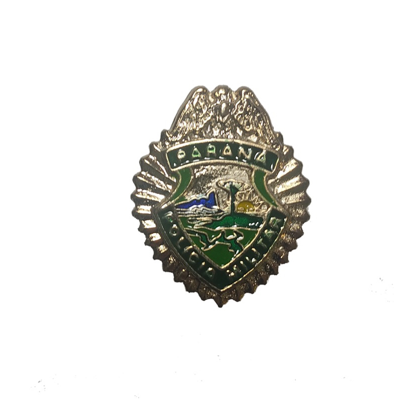 Brasão Pmpr: Guia Completo e Onde Comprar | BuscaProdutos