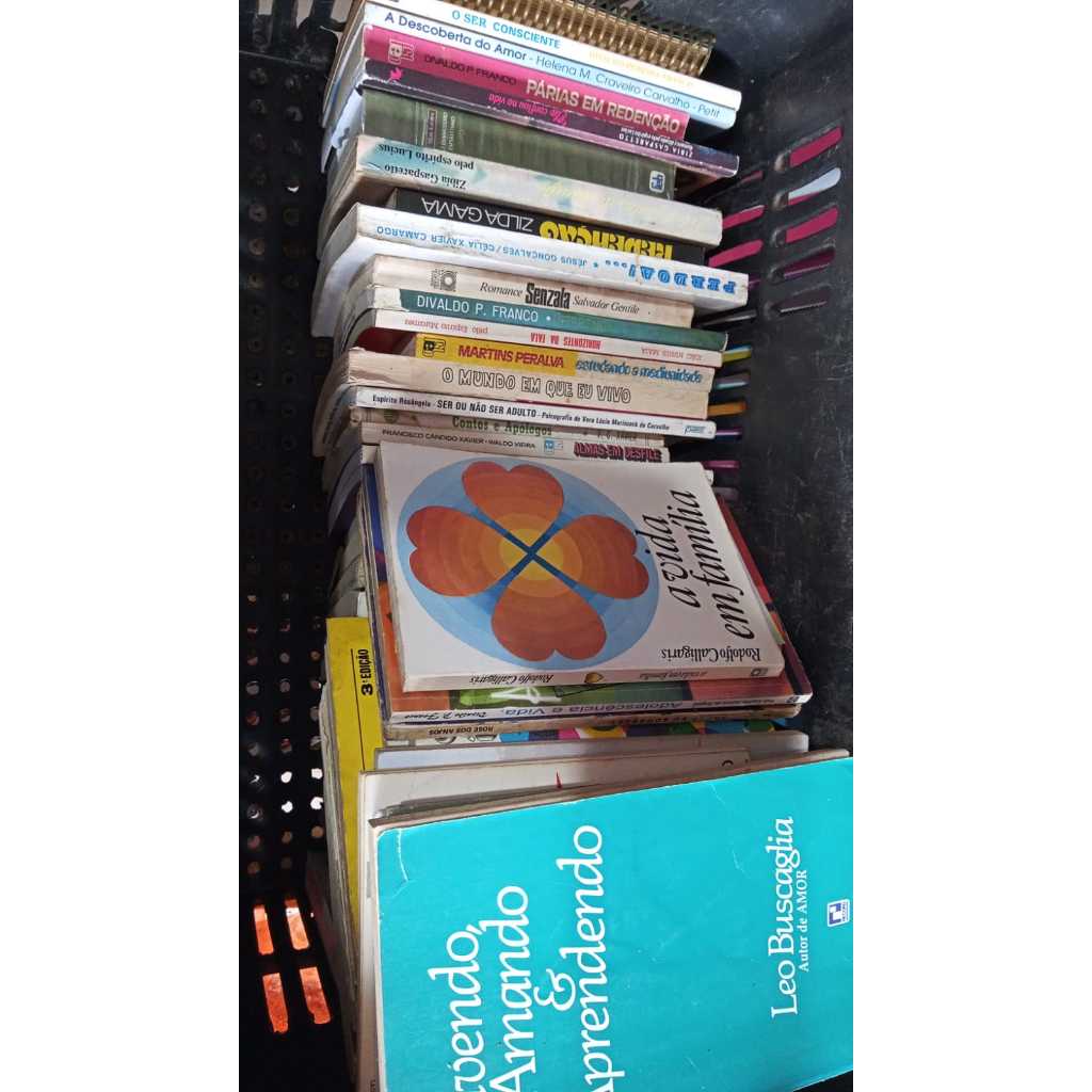 Livros espiritas Diversos 2