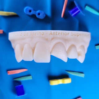 MODELO DENTAL TREINO ANTERIOR SUPERIOR | DENTES EM RESINA PARA ESCULTURA DENTAL em Oferta na Shopee