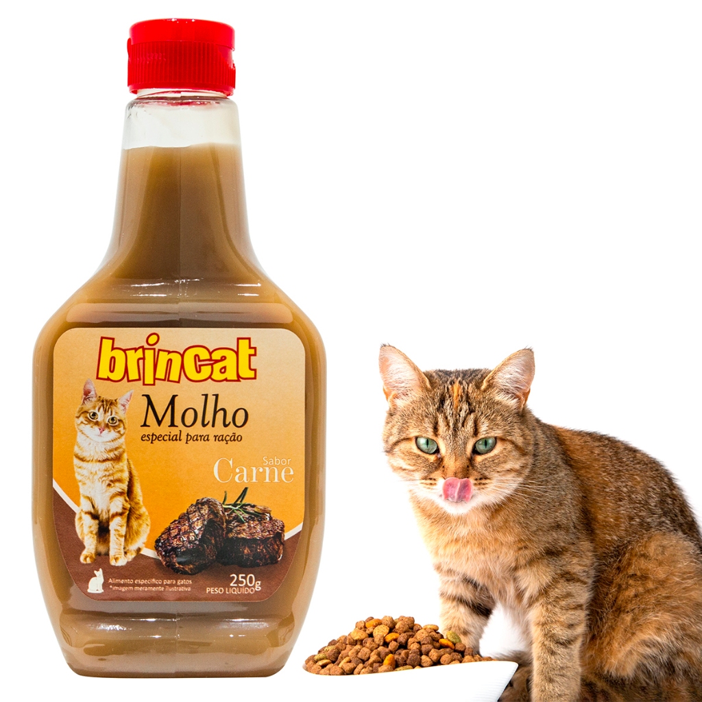 Molho Pet para Ração de Gatos Carne 250g Todo Dia Brincalhão