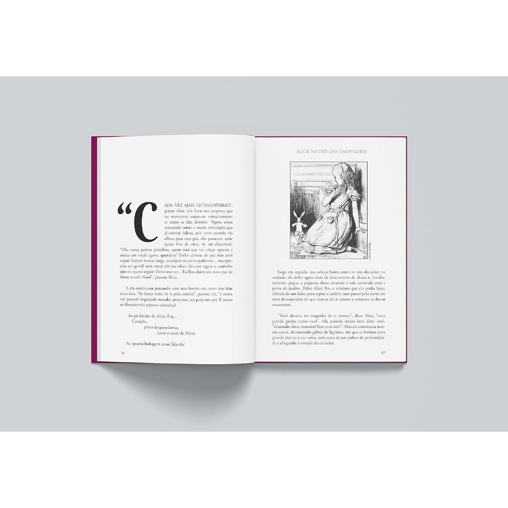 Livro Alice no País das Maravilhas - ENVIO IMEDIATO E MELHOR PREÇO — imagem 2 de 2
