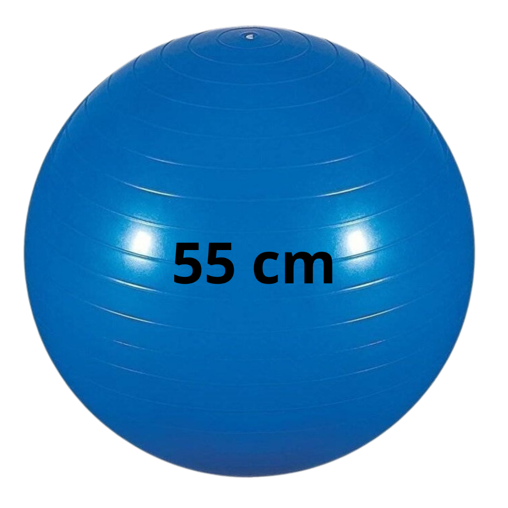 Bola Pilates Yoga Abdominal Exercício 55cm Ginástica Suíça Anti-Estouro Fisioterapia Treino Alongame