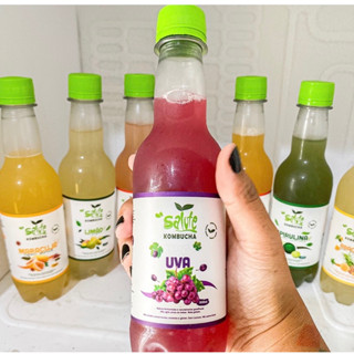 Kit com 9 Kombucha sabores diferentes Salute (300ml/cada)