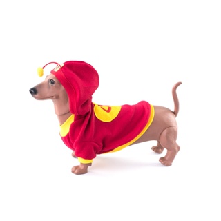 FANTASIA CHAPOLIN PARA CÃES E GATOS em Oferta na Shopee