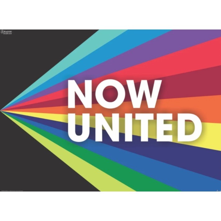 Painel TNT Decoração De Festa 1,40 X 1,00m - Now United - 1 Unidade