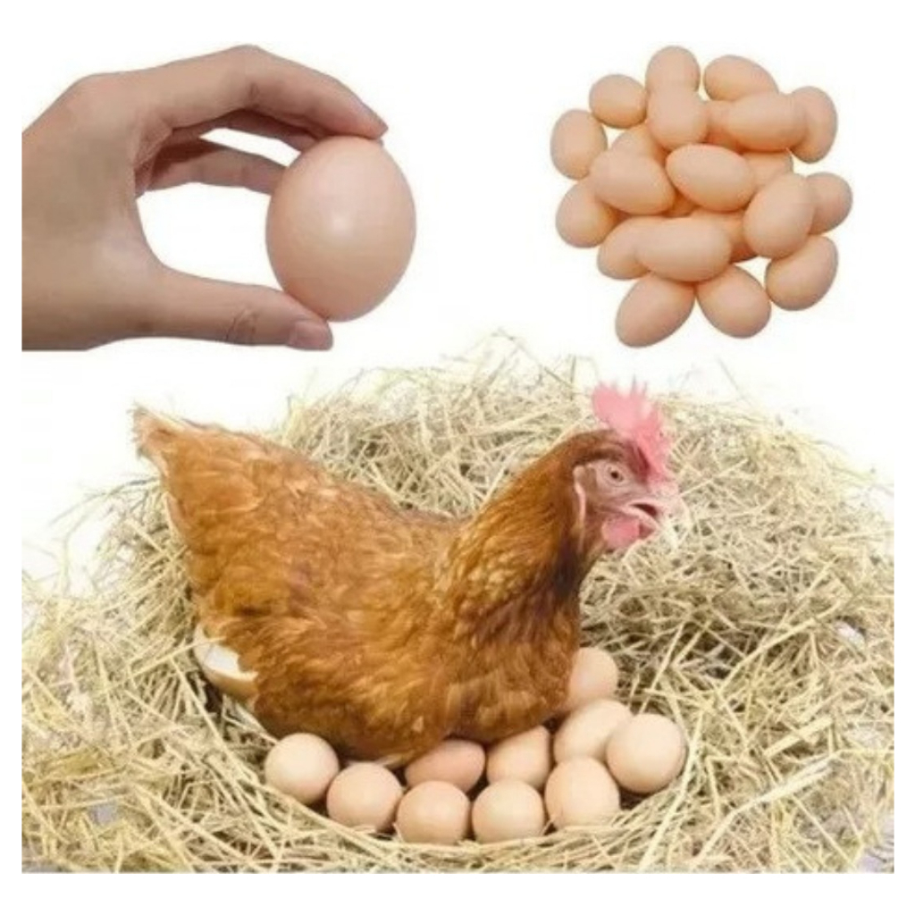 Kit 12 Ovos Falsos para enganar Galinha e Enfeite Cozinha Decoração