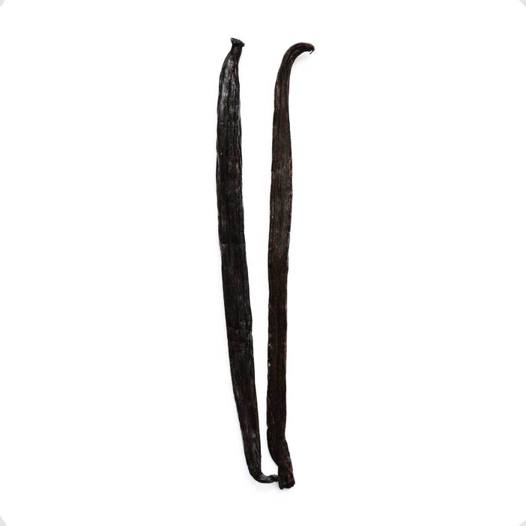 Fava De Baunilha Madagascar Média 2g