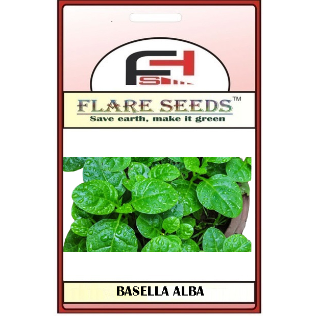 3 sementes de Espinafre indiano ou Bertalha (Basella Alba)