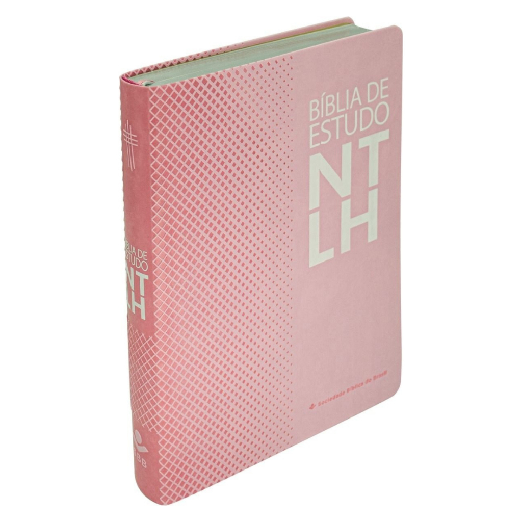 Bíblia Estudo Ntlh Feminina: Onde Comprar | BuscaProdutos