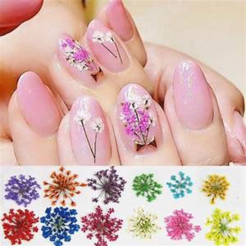 Kit 12 Flores Secas Encapsulamento Unhas Decoração Cores Uv Led ENVIO HOJE em Oferta na Shopee