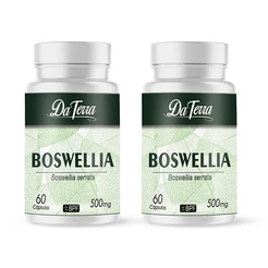 Planta Boswellia Natural 120 Cápsulas / 500mg
