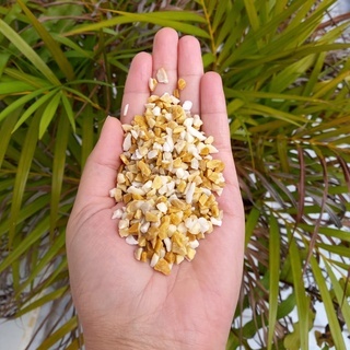 3KG AMARELO CLARO PEDRISCO / Pedra  para decoração de vasos cactos, suculentas e jardim. Embalagens com 3KG AMARELO CLARO