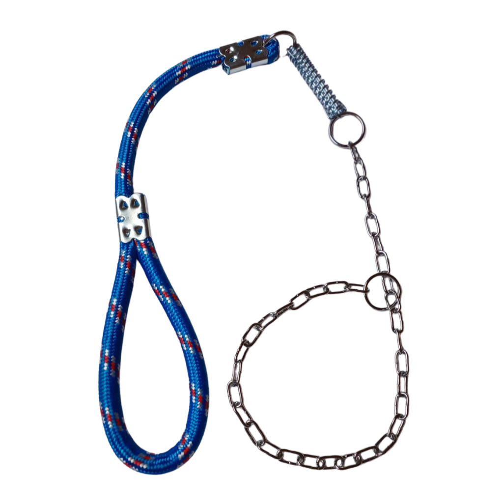 Cão Cane Corso: Guia Completo e Onde Comprar | BuscaProdutos