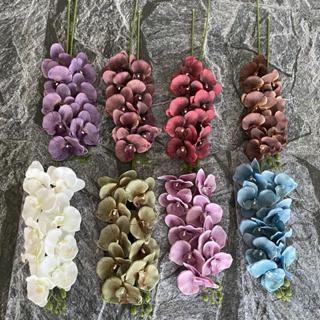 Orquidea com Haster NEUTROS - RS-728