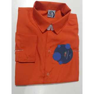 Camisa Infantil Juvenil Social Manga Longa
