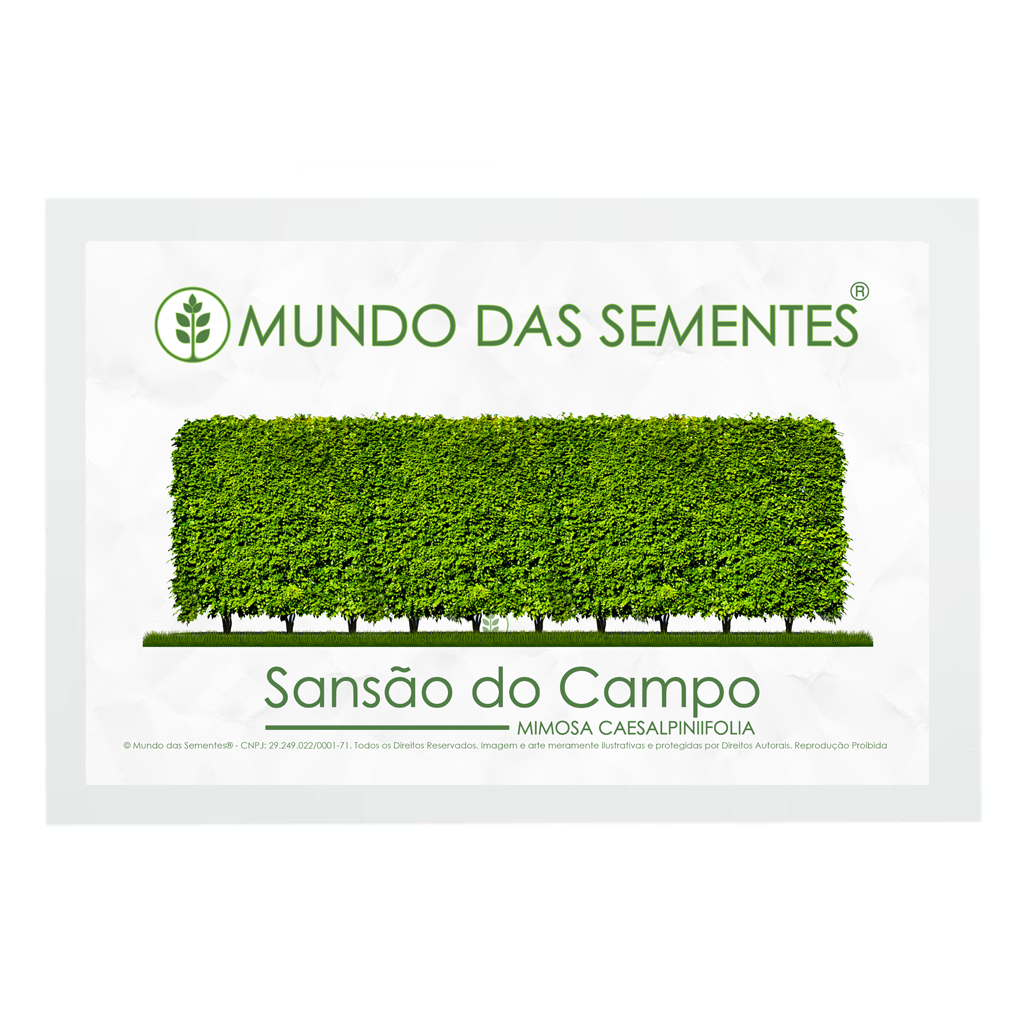 20 Sementes de Cerca Viva Sansão Do Campo Mimosa Caesalpiniifolia Premium | Mundo das Sementes®