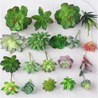 Kit c/10 Suculentas Artificiais Decorativas Sortidas