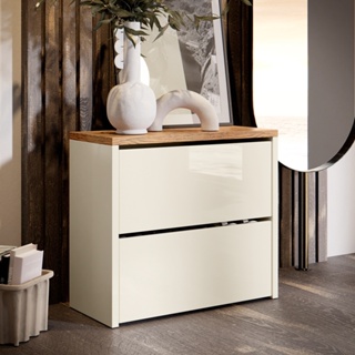 Sapateira Organizadora 2 Portas Basculante Hall De Entrada Recamier Retro Mel - Quality Móveis em Oferta na Shopee