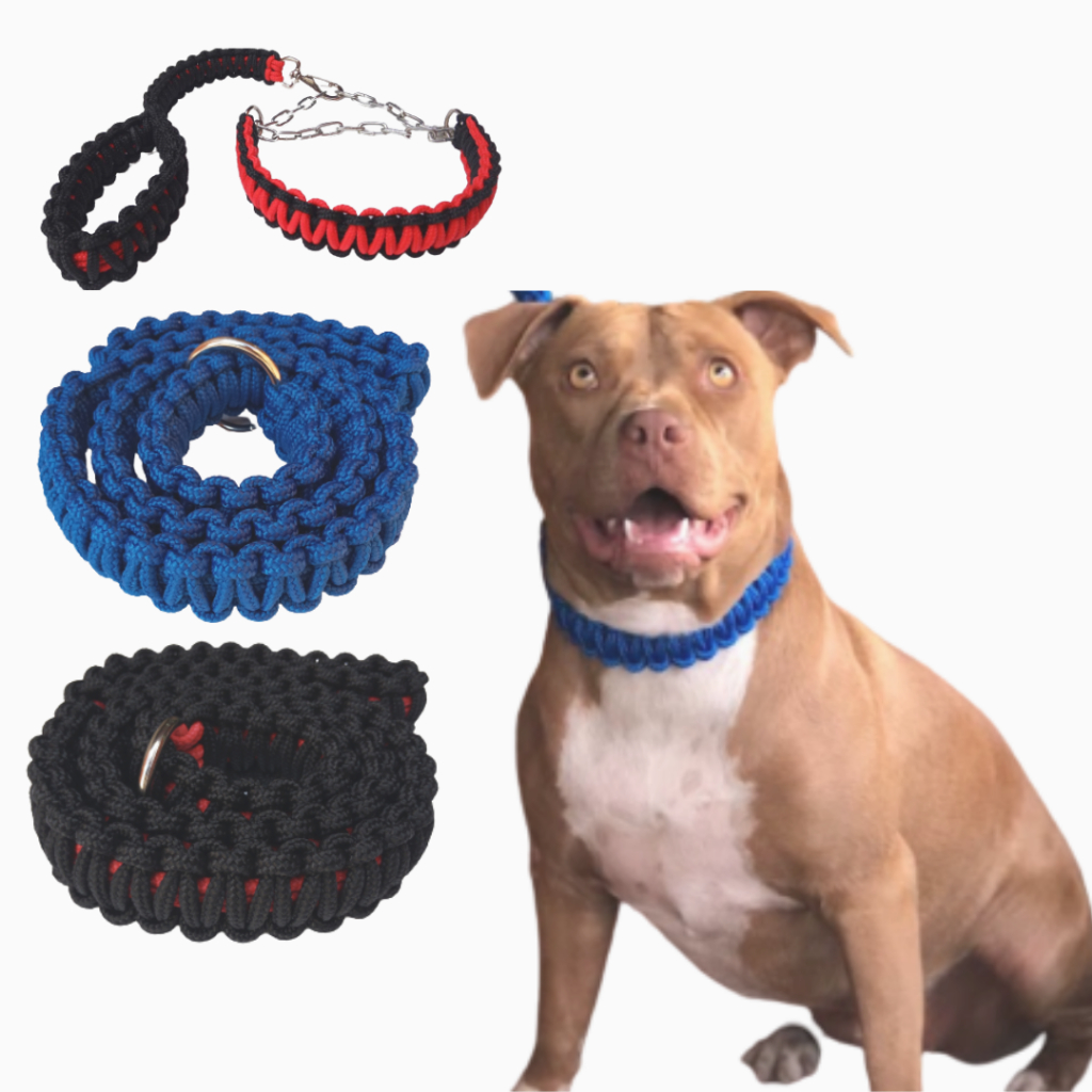 Guia Enforcador Unificado Artesanal Pet Coleira  Cachorro Cães Médio Grande Trançada Corrente Pitbull Pit Monster Bully