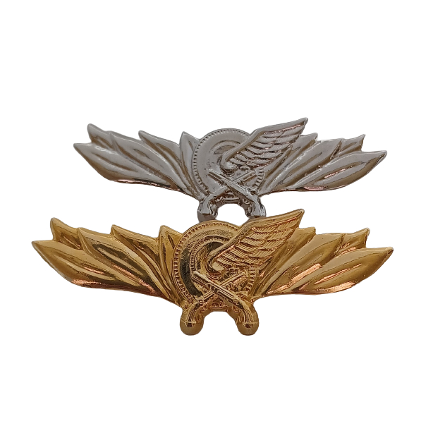 Broche Brevê - Motorista - brevê DIREÇÃO DEFENSIVA METAL