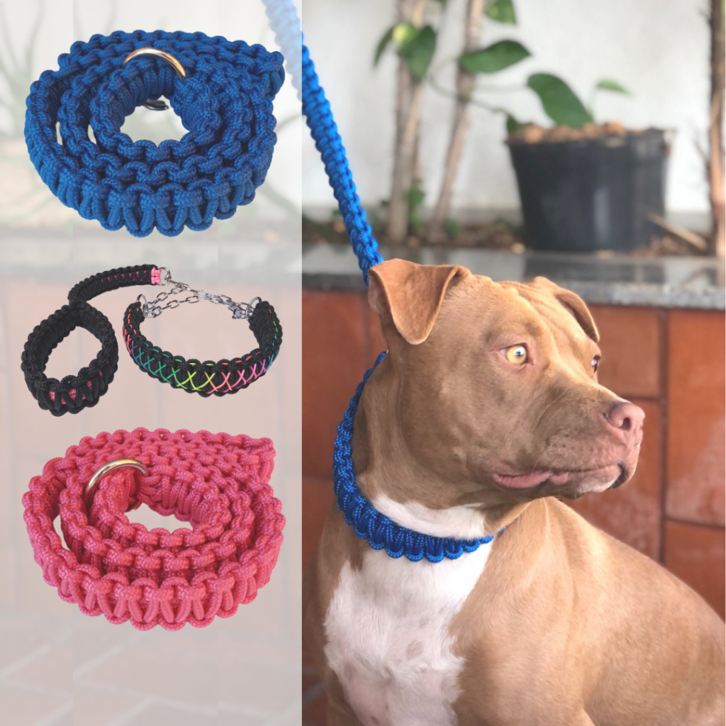 Guia Enforcador Artesanal Pet Coleira para Cachorro Pitbull Unificada Cães Médio Grande Trançada Reforçada Pit Monster