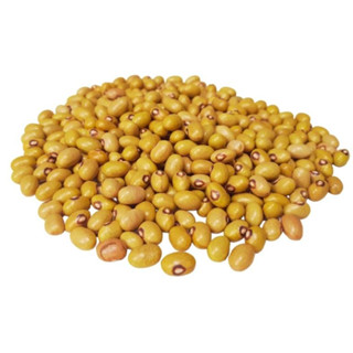 Feijão Bolinha Premium | 500g - Qualidade Superior e Seleção Fina