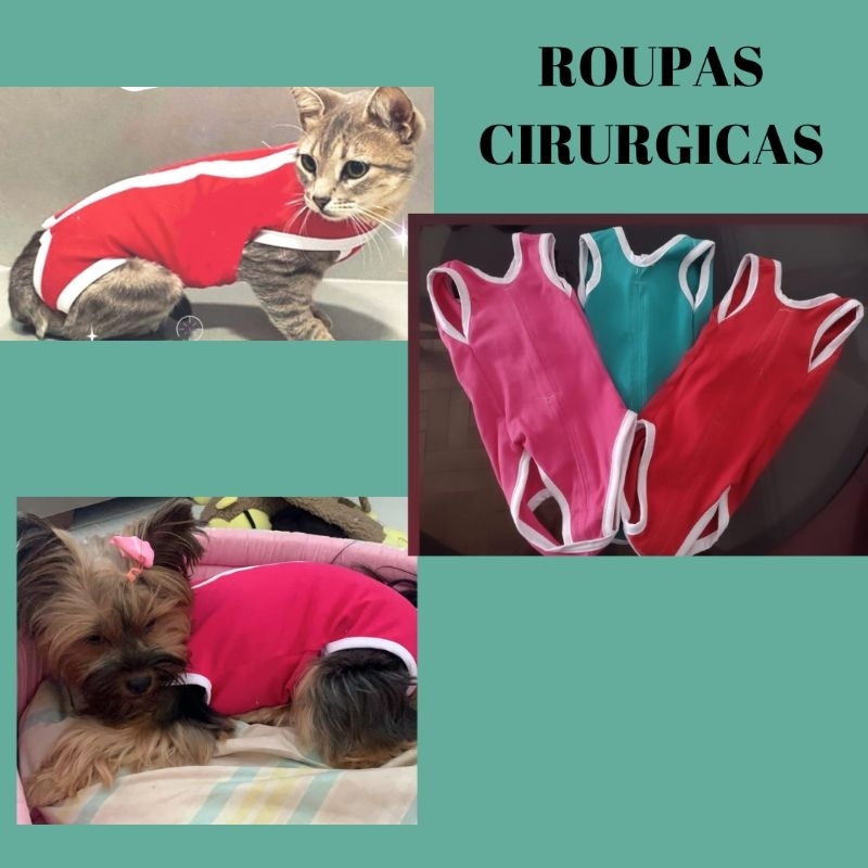 Roupa Pós-cirúrgica Gatos e Cão,  Gatos e cachorros em Oferta na Shopee