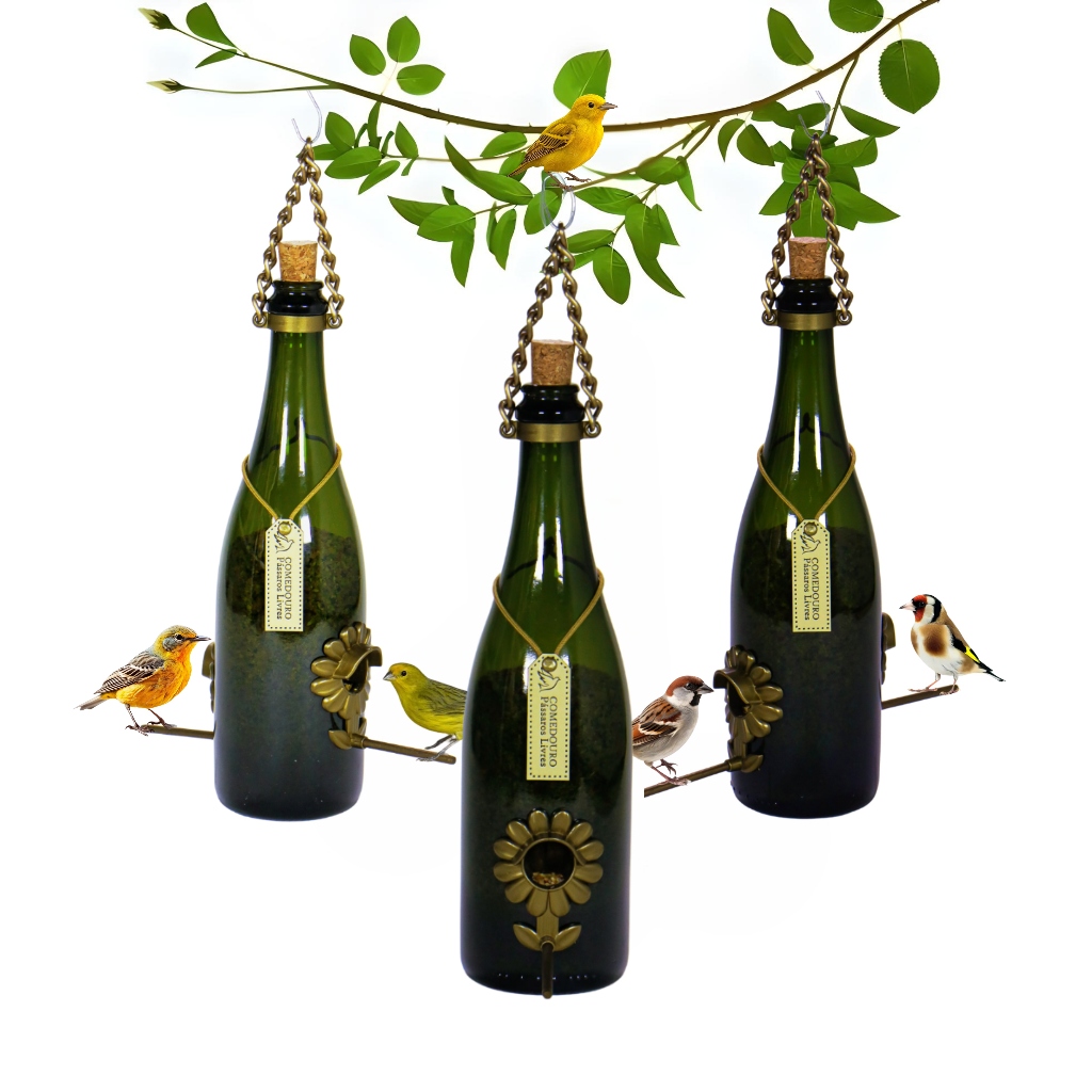 kit 3 comedouros para pássaros livres - Garrafa de Champagne verde em Oferta na Shopee
