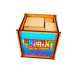Quebra-Cabeça ENCAIXE SE FOR CAPAZ em Madeira Puzzle Brinquedo Montessori