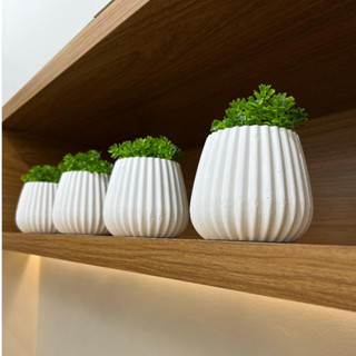 Kit 4 Unidades Vaso decorativo de gesso texturizado para Suculentas, Cactus e outras plantinhas