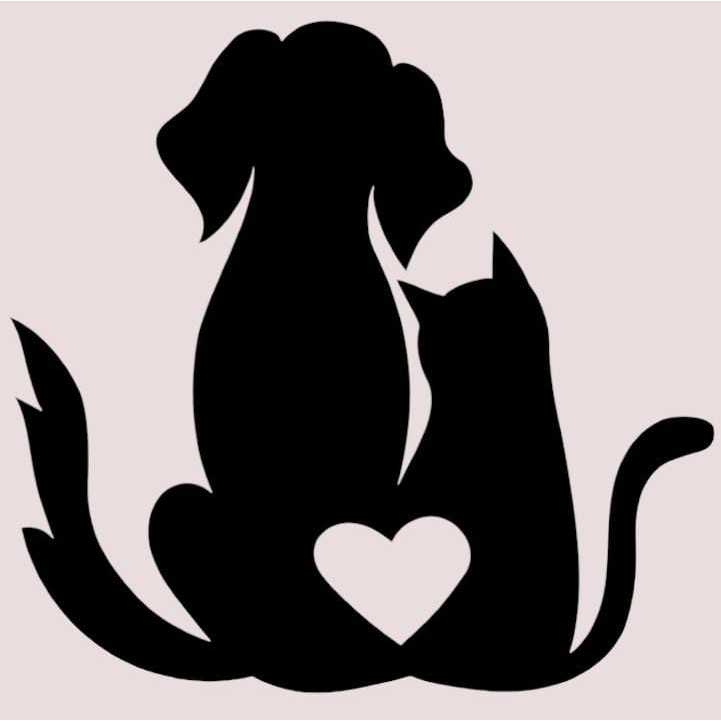 Creme Leave-in Banho Pet Cachorro Gato Desembaraça Pelo Profissional Sem Enxágue Facilita a Escovação dos Pelos — imagem 2 de 2