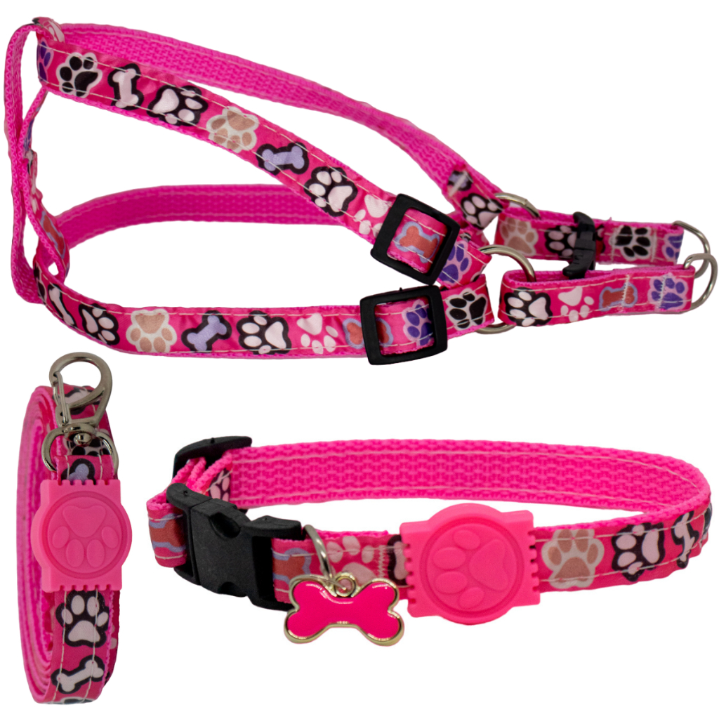 Coleira Peitoral Para Cachorro Com Guia Anti Puxão Zeedog