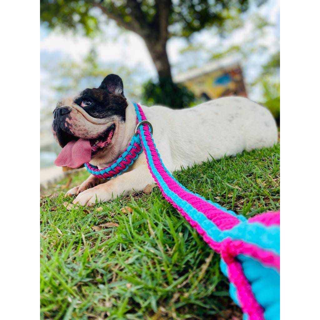 guia enforcador para cachorros grandes pitbull monster coleira cães médio e grande porte