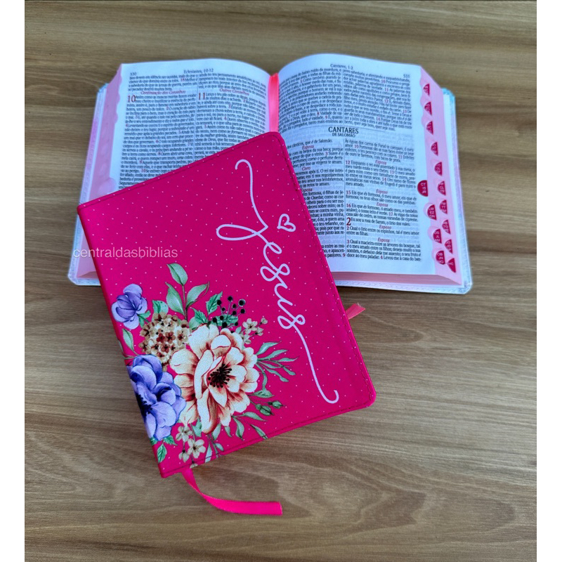Bíblia Pequena Ntlh Ester com índice em Oferta na Shopee