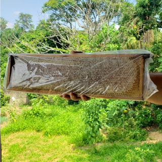Favo de mel 13x45cm - Favo de mel grande - favo de mel - favo grande em Oferta na Shopee