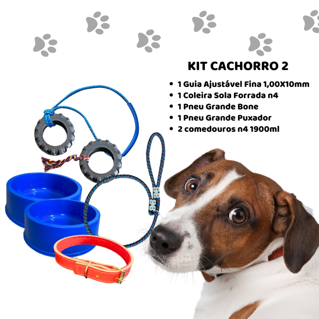 Kit Conjunto para Cães Cachorro Adulto Brinquedo Comedouro Coleira Guia Completo Sortido