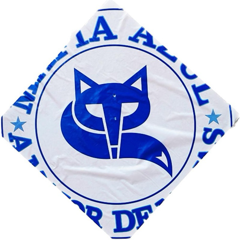 pipa raia flechinha estampado 38x38 kit faça você mesmo 100 unidades