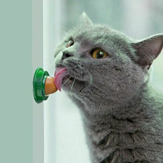 CATNIP - Brinquedo de ervas naturais para gatos- BRINQUEDO SAUDÁVEL.