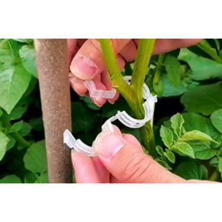 100Pcs Clip De Planta Fivela Clipes De Suporte Abraçadeiras De Plástico Suporta Ferramentas em Oferta na Shopee