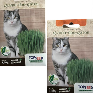 2X Sementes de Grama dos Gatos Cat Grass Pet Anti Stress