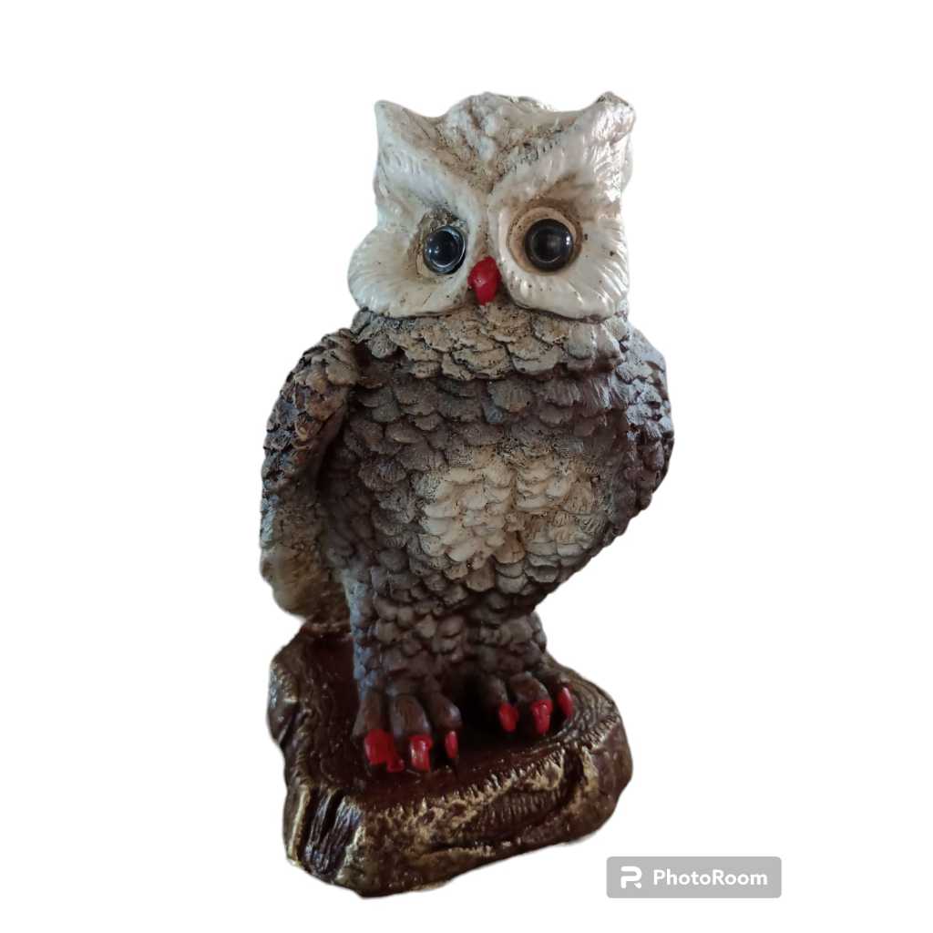 Coruja Média Decorativa de Jardim Espanta Pássaros Coruja Na Rocha Estatua Sabedoria Decoração