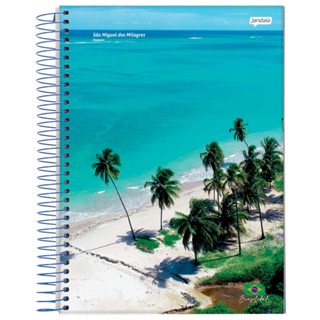 Caderno Universitário 1 Matéria Brasilidade 96 Folhas Jandaia